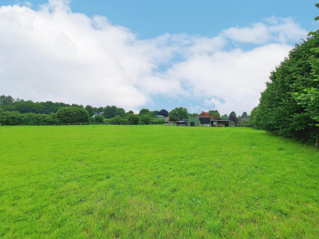 Wiese - Ansicht I