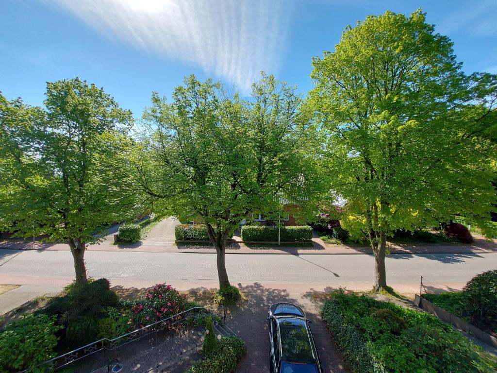 Blick vom Balkon