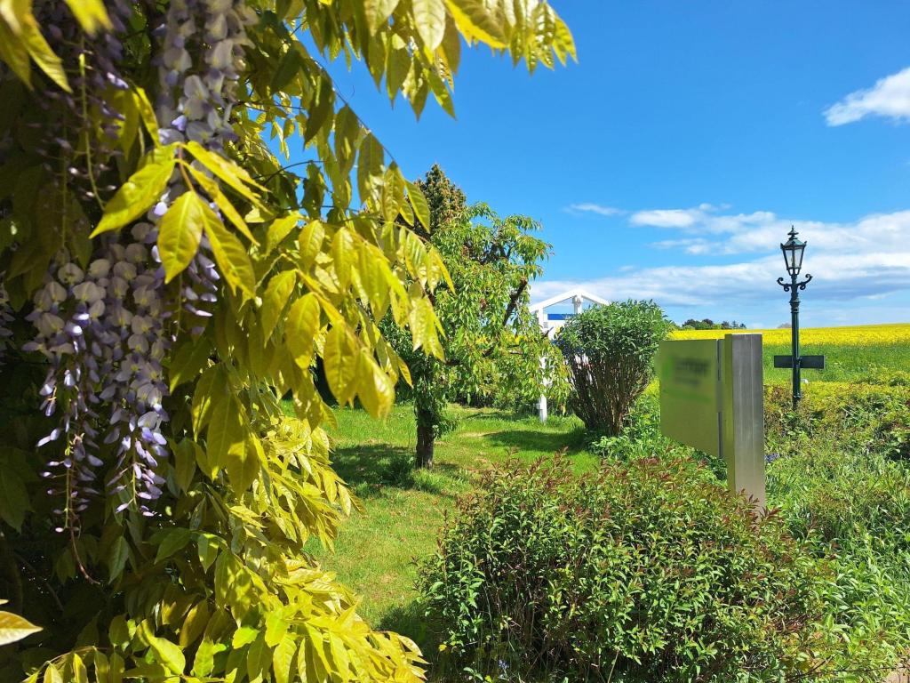 Blick in den zauberhaften Vorgarten
