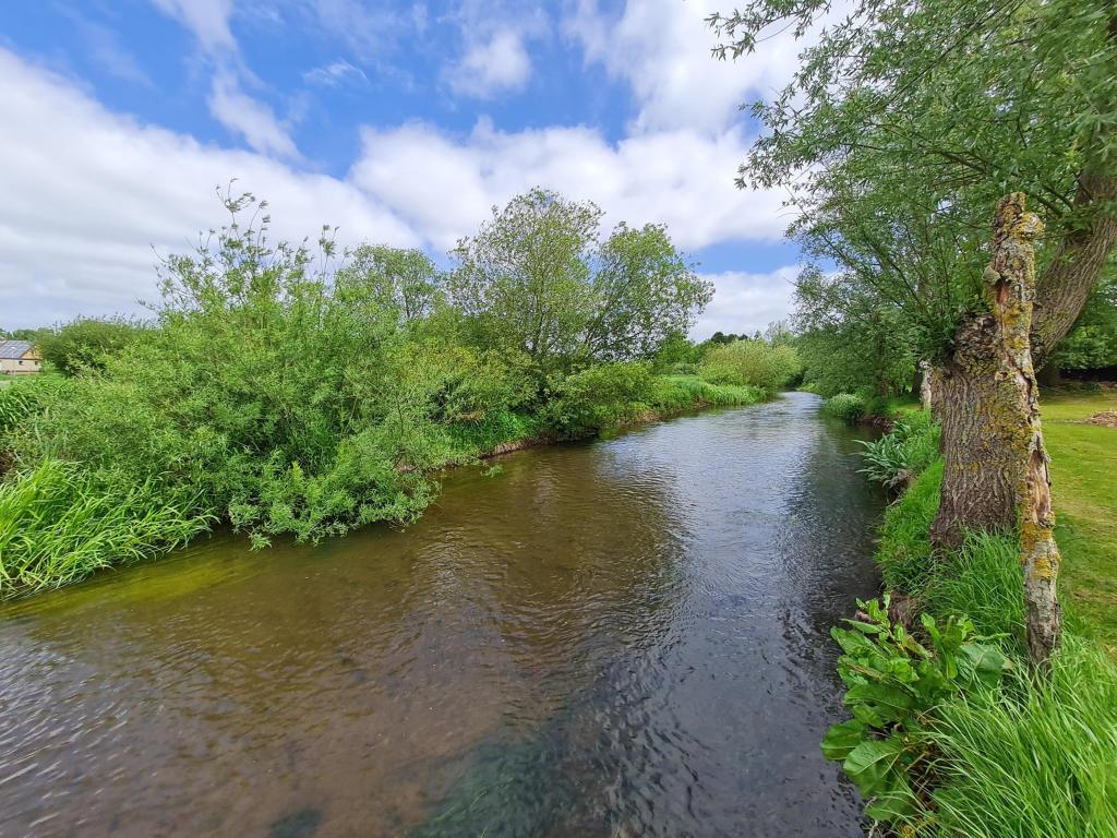 Idylle pur an der Treene