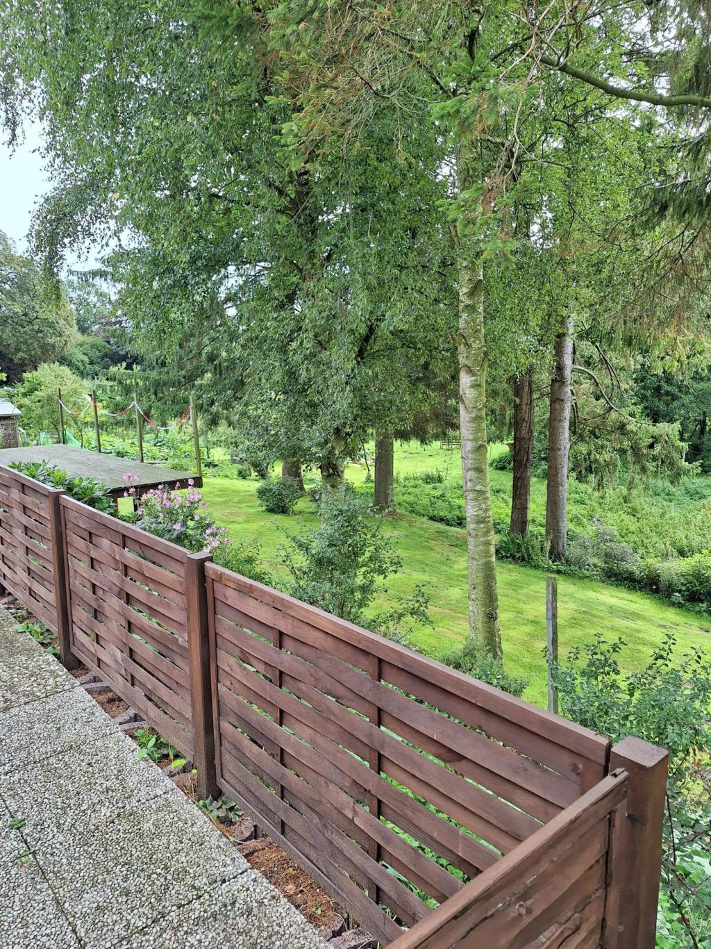 Blick in den Garten