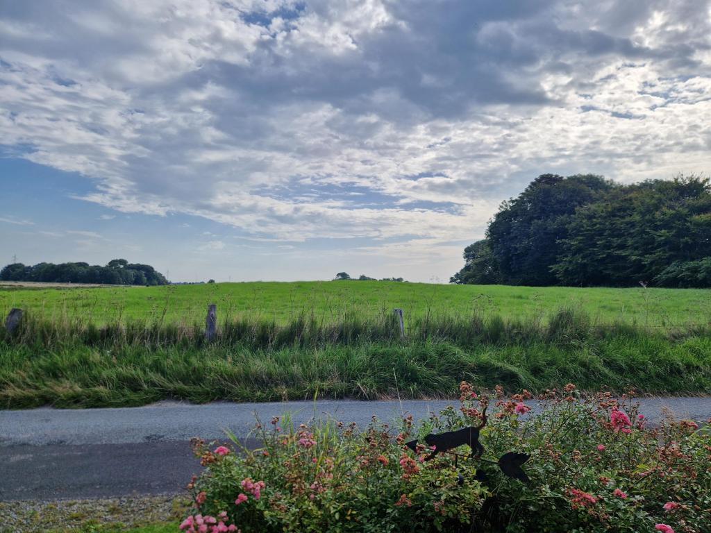 Traumhafter Blick in die Natur
