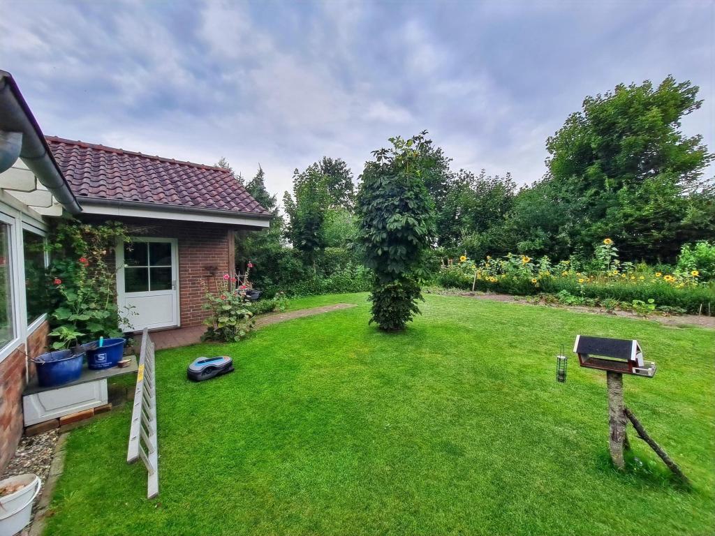 Blick in den großen Garten