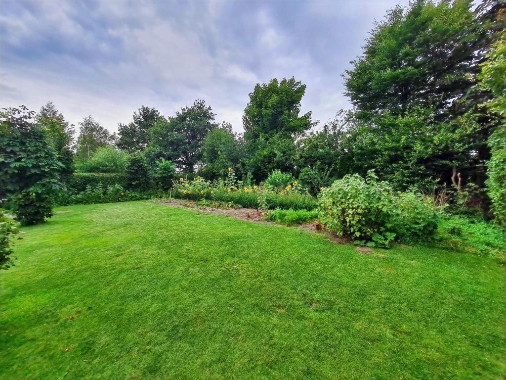 Viel Platz im Garten