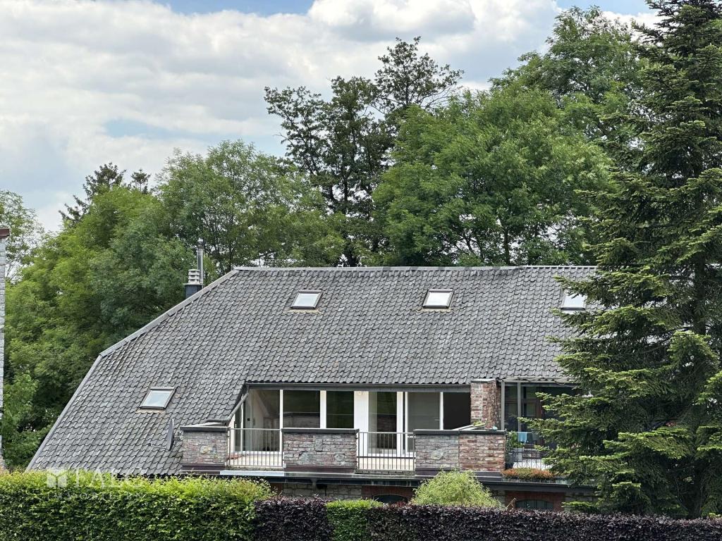 Haus