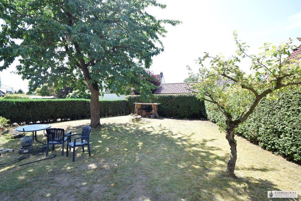Blick in den Garten mit Kirschbaum