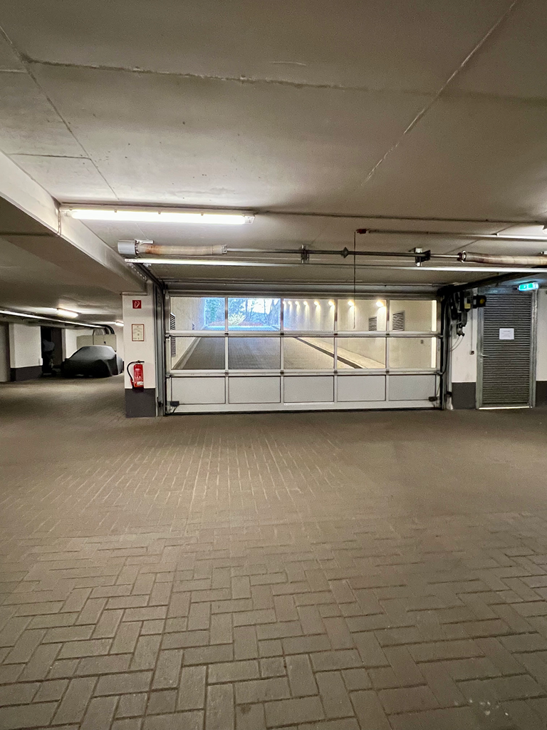 Stellplatz_42 IMG_1868.png