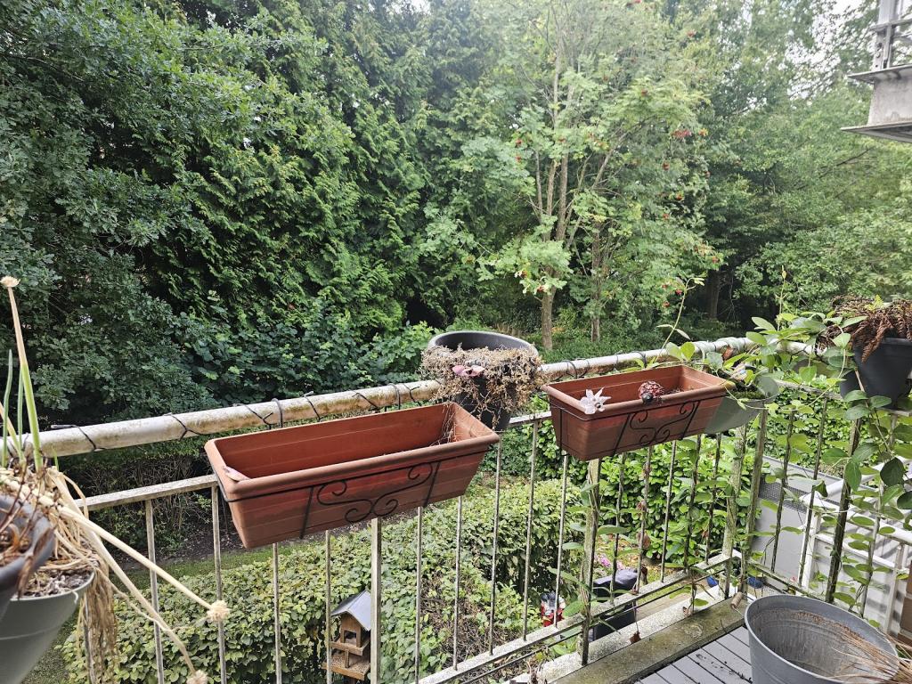 3 -Zimmer-Wohnung mit Balkon, kein Aufzug, Stellplatz in Tiefgarage, auch zum 01.10.2026 zu mieten - Foto 4