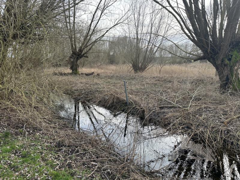 Bachlauf