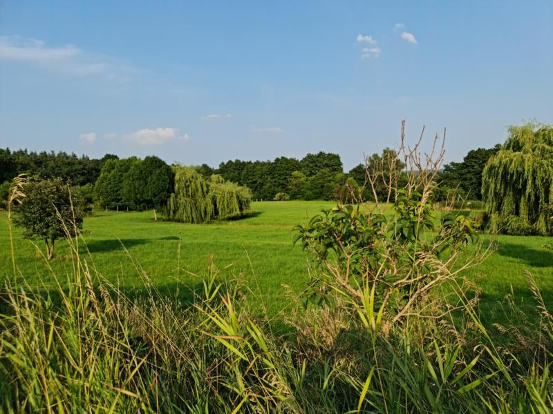 7b67d506-926b-43eb-95e6-7c1fef4e5333.jpg