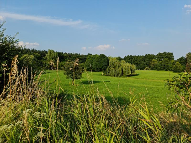 a4844fb2-92d3-48f7-8e0a-590b541c371a.jpg