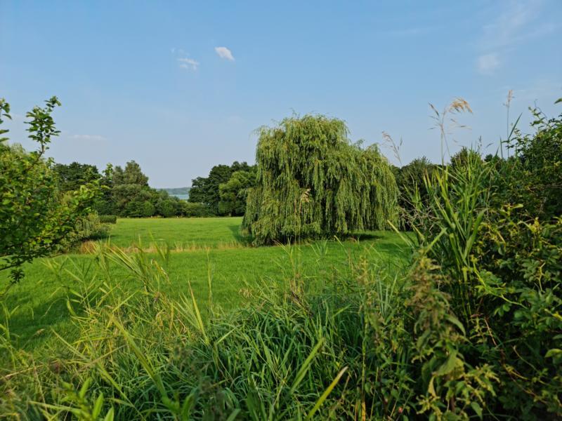 e34b0ca9-d696-4f4a-b868-a688035a14a1.jpg