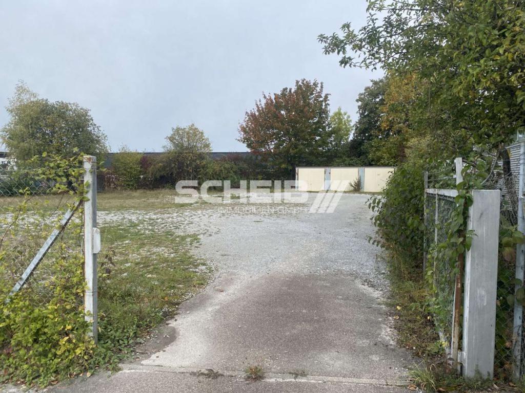zum eingezäunten Bereich