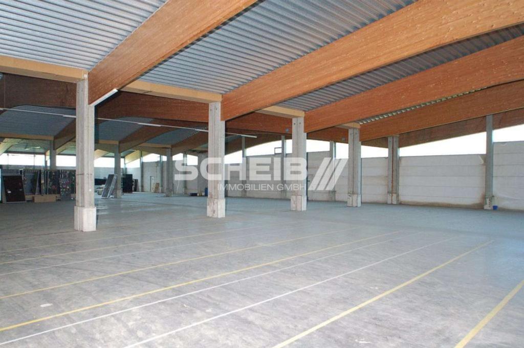 Halle 1