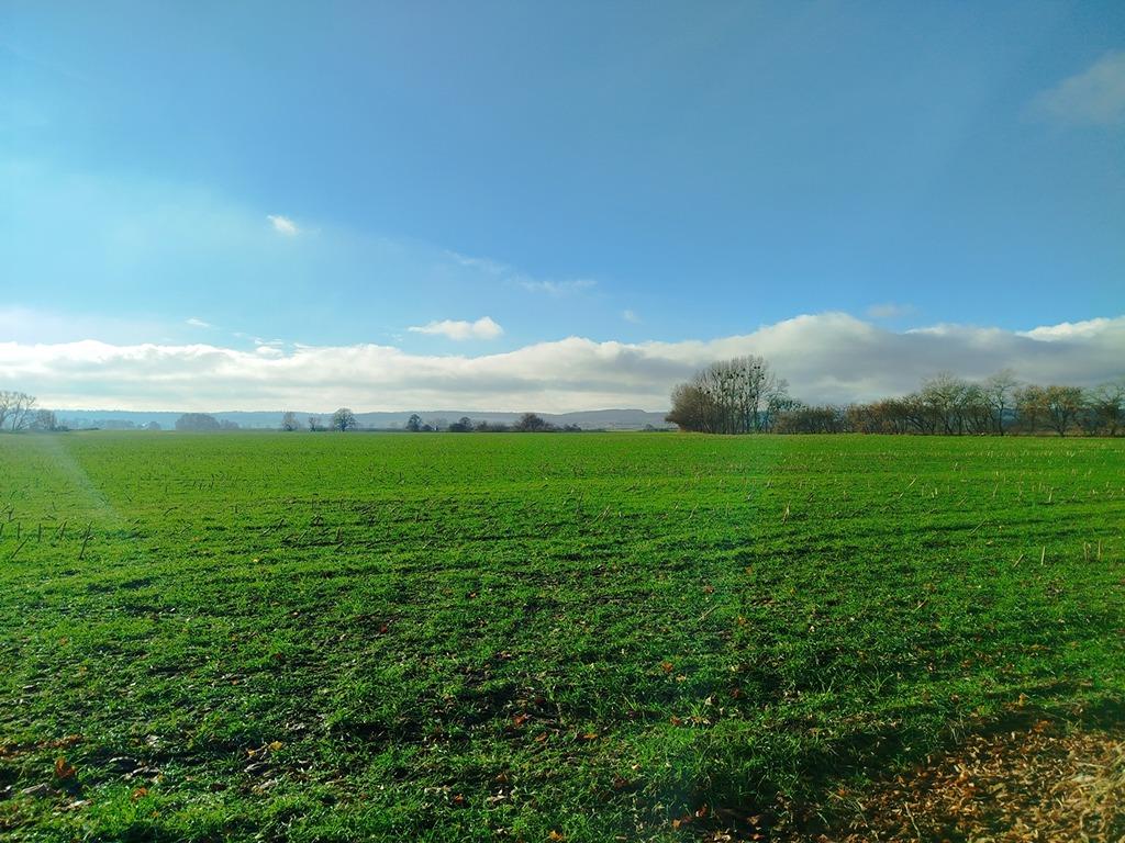 Blick vom Grundstück.jpg