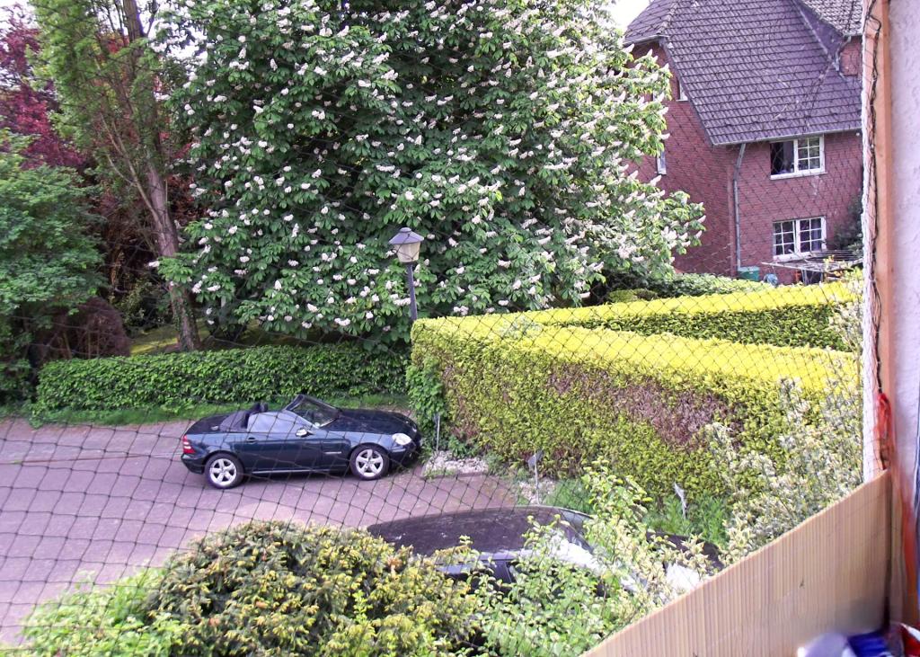 EH 2 - EG links - Ausblick Balkon