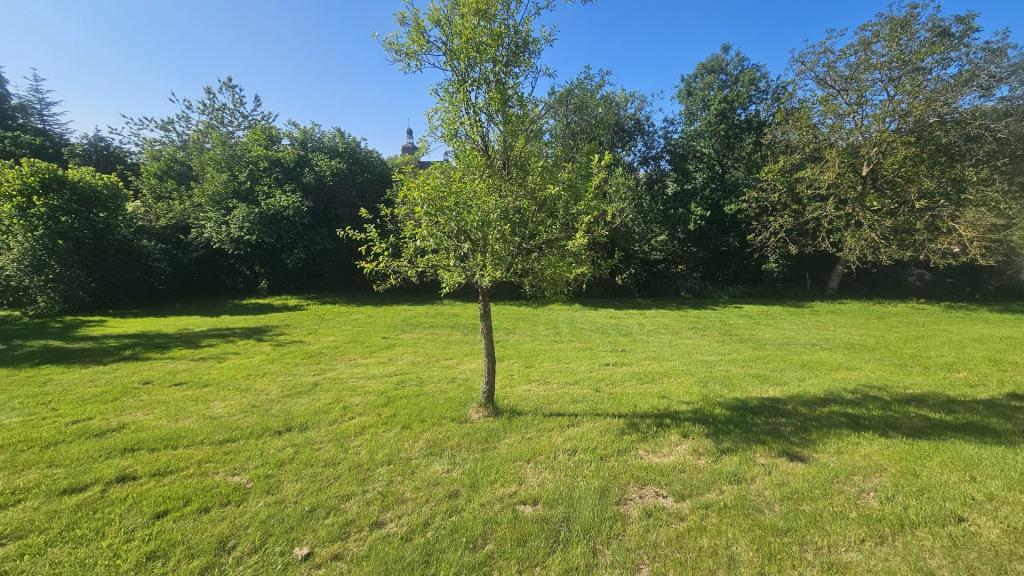 Wiesenfläche