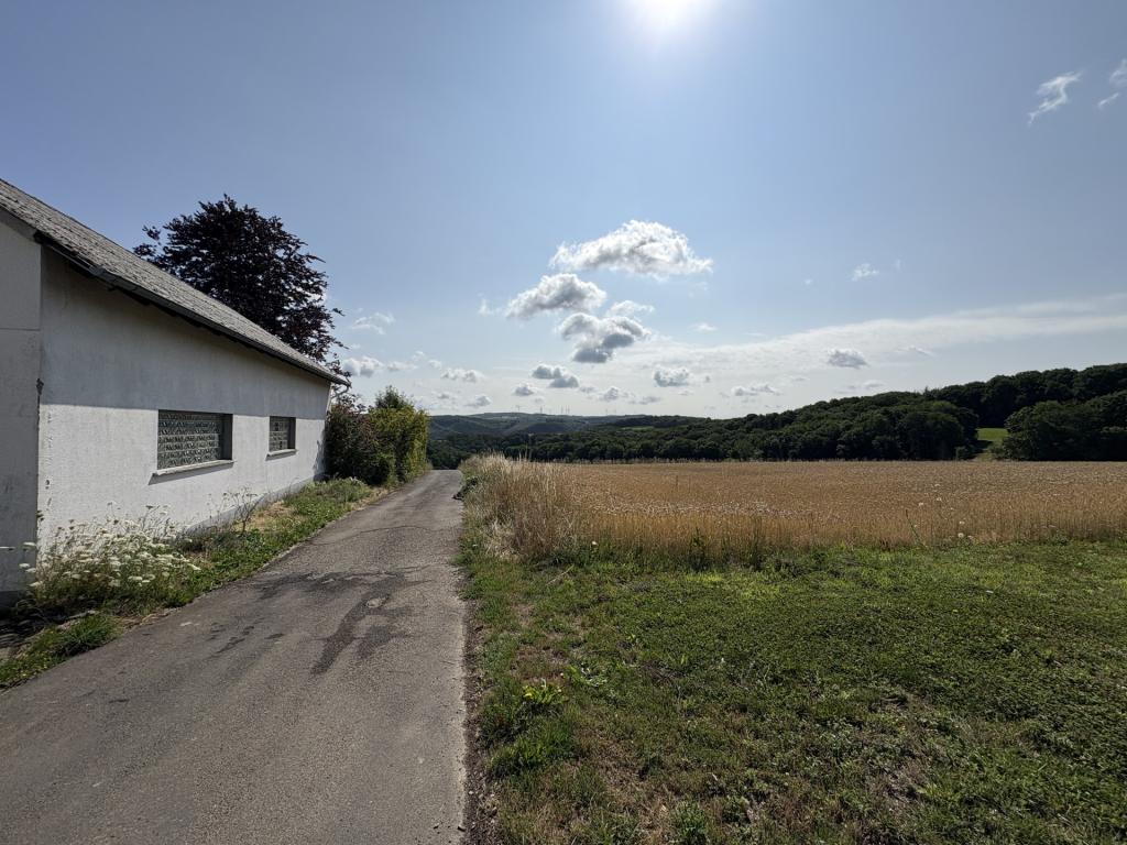 Wanderwege direkt vor der Tür