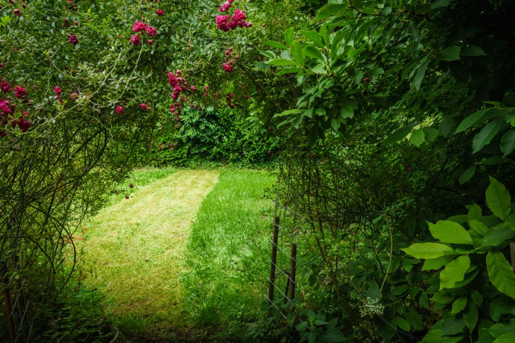 Garten