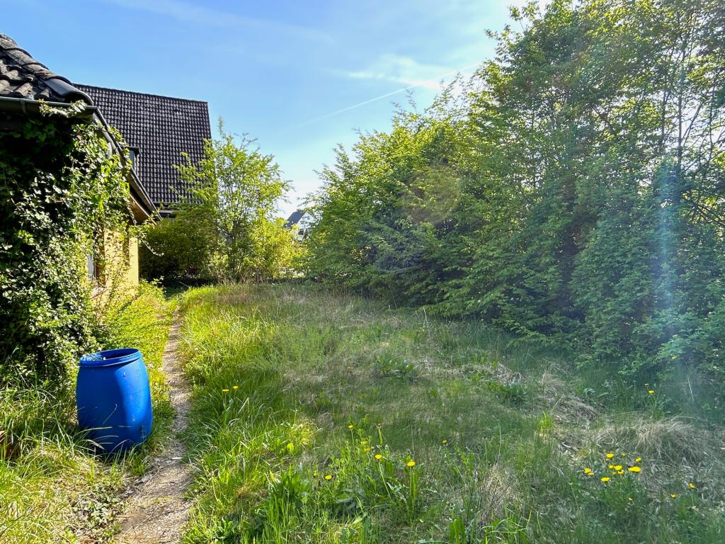 Seitlicher Garten
