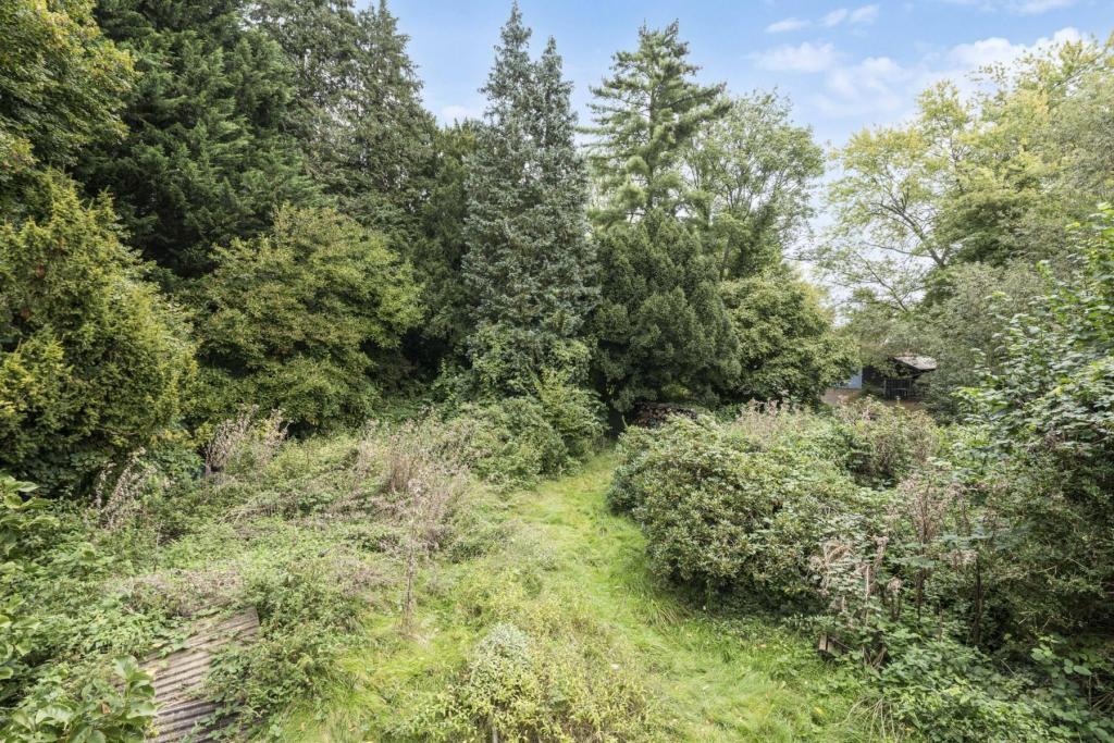 Verwildeter Garten in 1. Wasserlinie