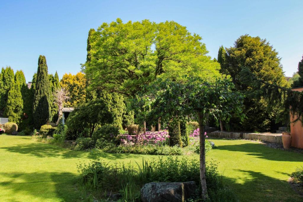 Garten (3)