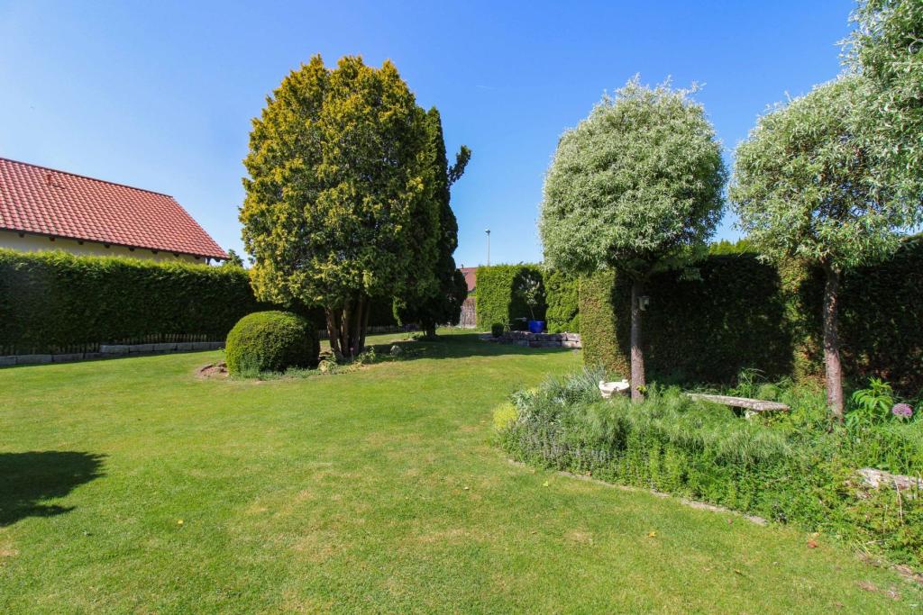 Garten (1)