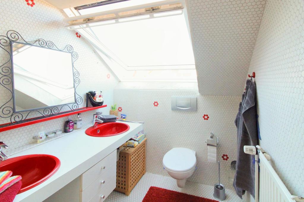 WC DG