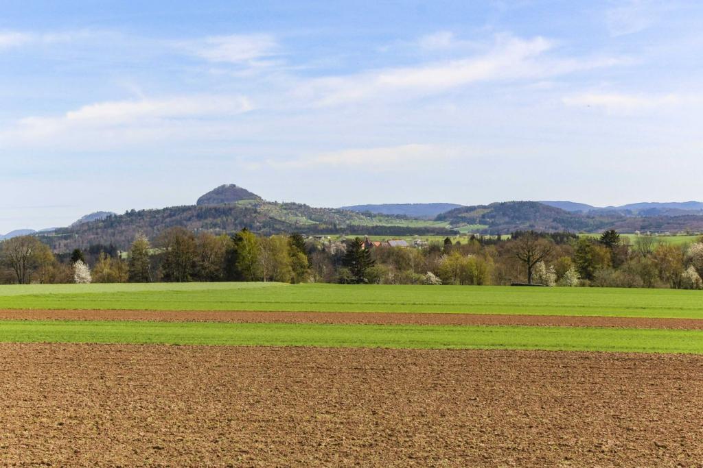 Panoramablick z. Hohenstaufen