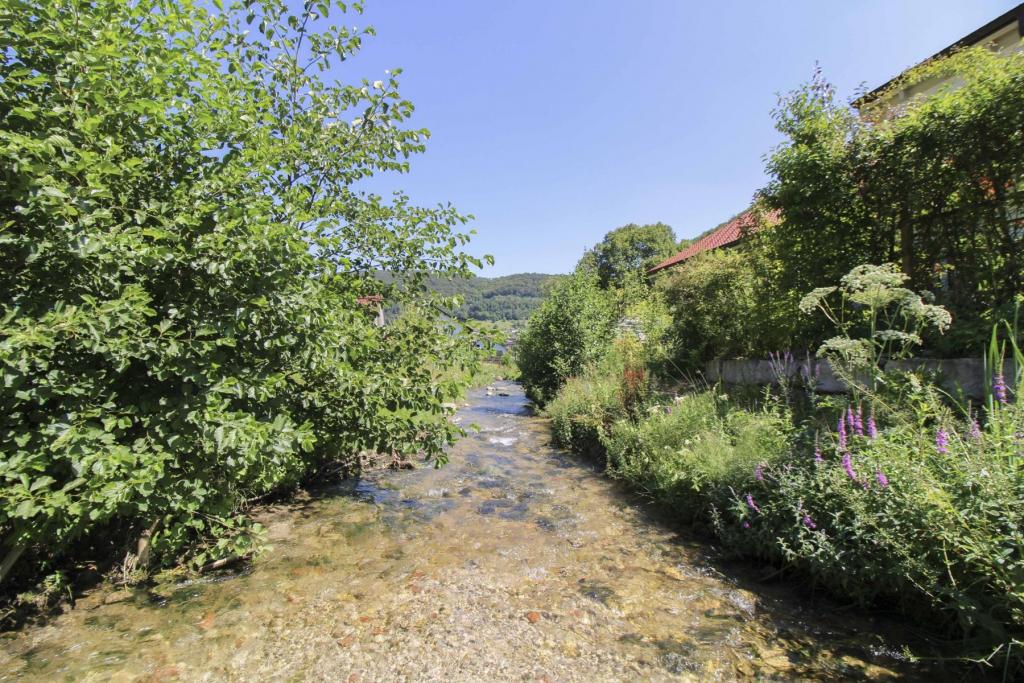 Natur vor dem Haus