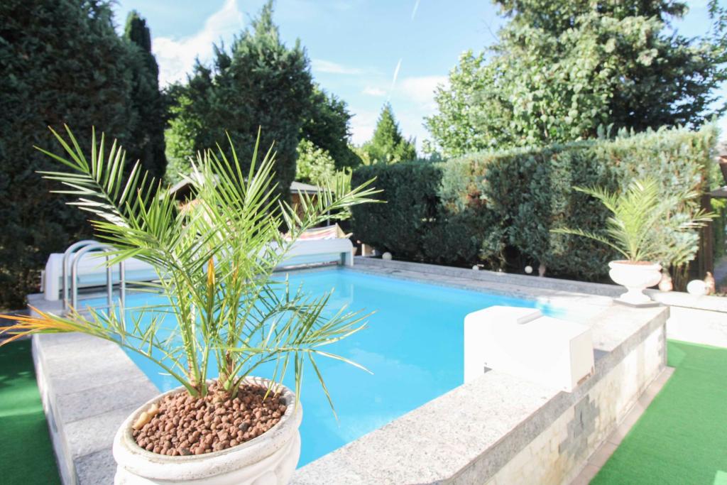 Pool mit Gegenstromanlage