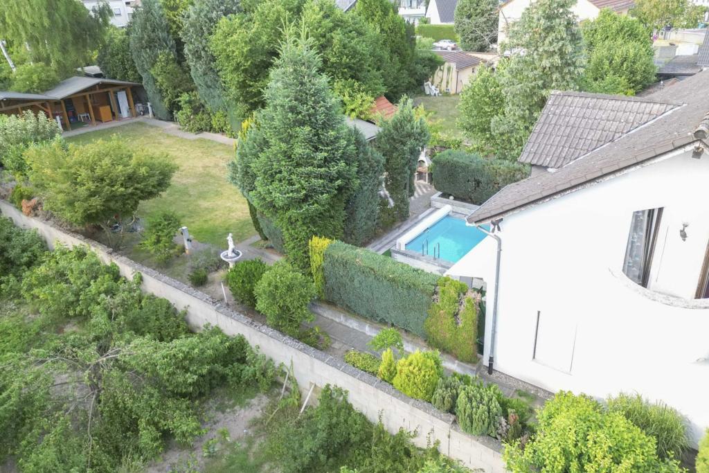 Gartenansicht mit Pool