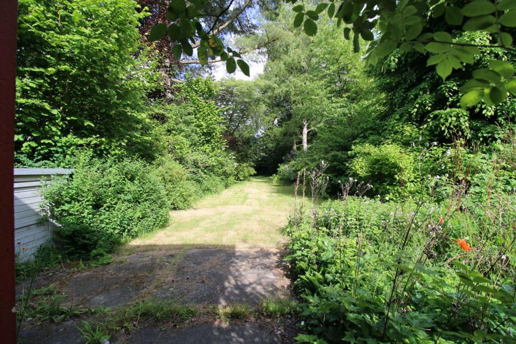 Blick in Garten