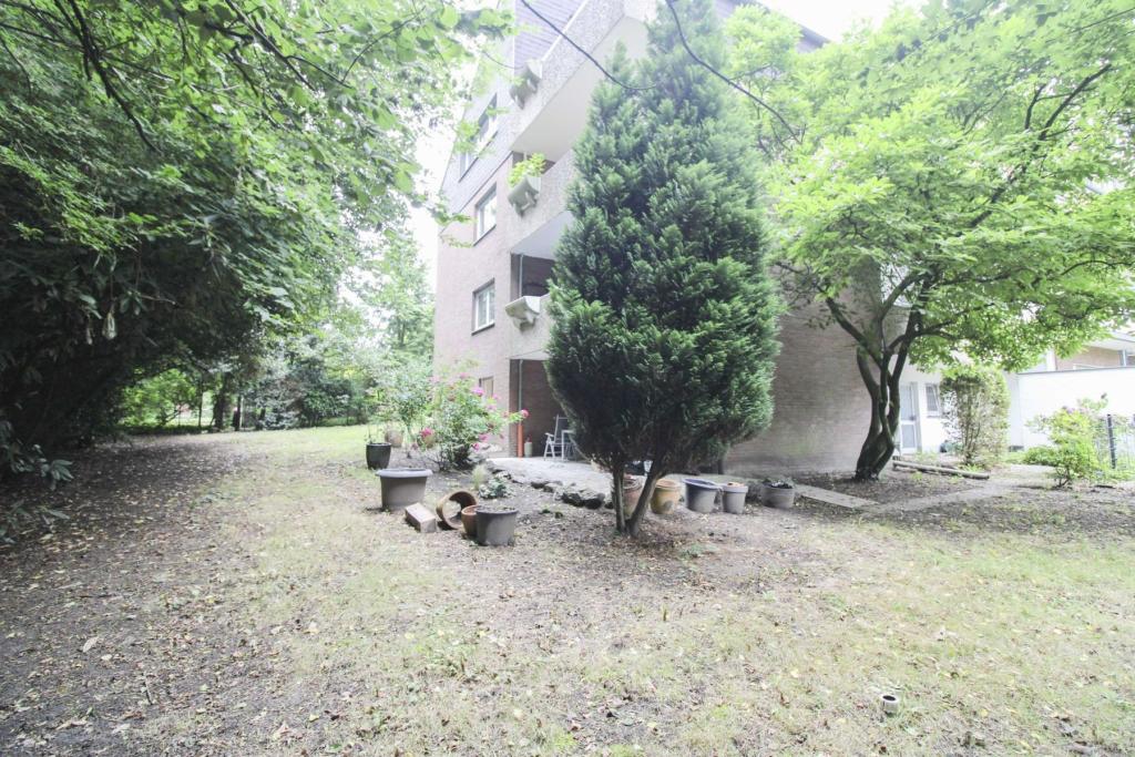 Gemeinschaftsgarten
