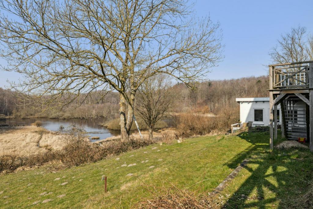 Blick in die Natur