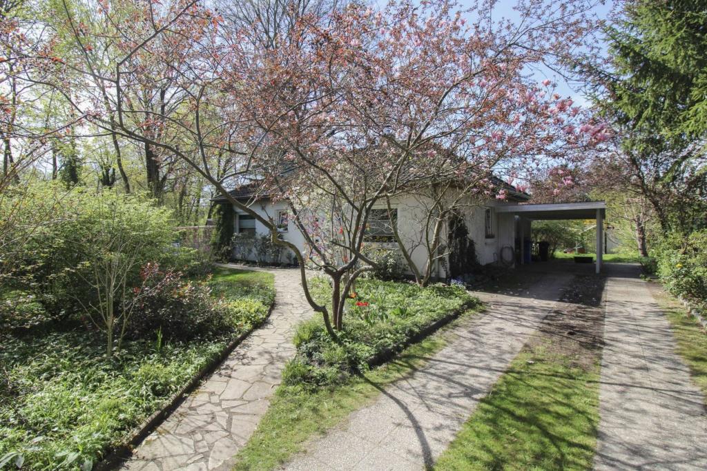 Carport und Freistellplätze