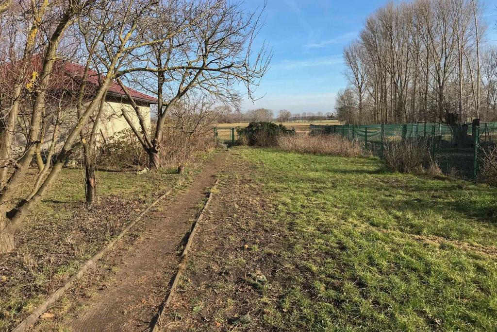 Garten links die Bäume rechts die Beete jetzt Wiese