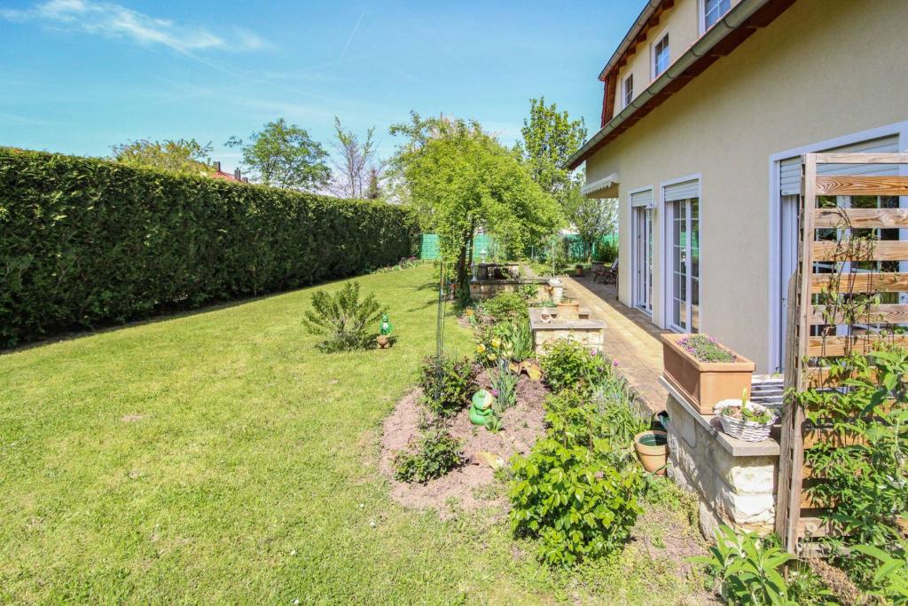Blick in den Garten