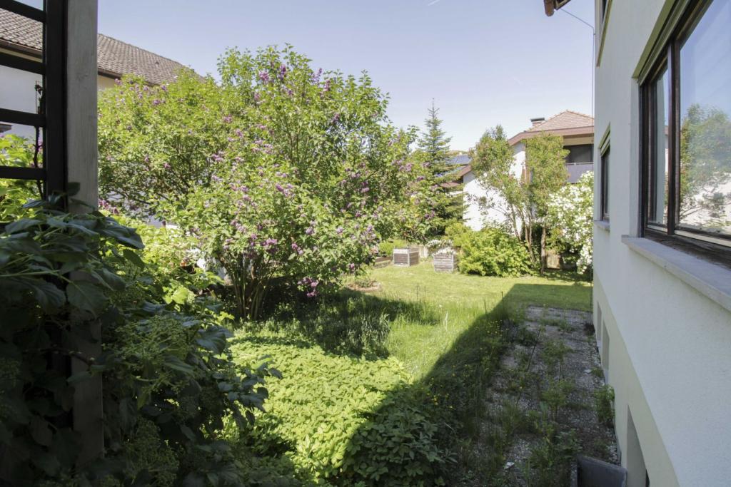 Ansicht Garten