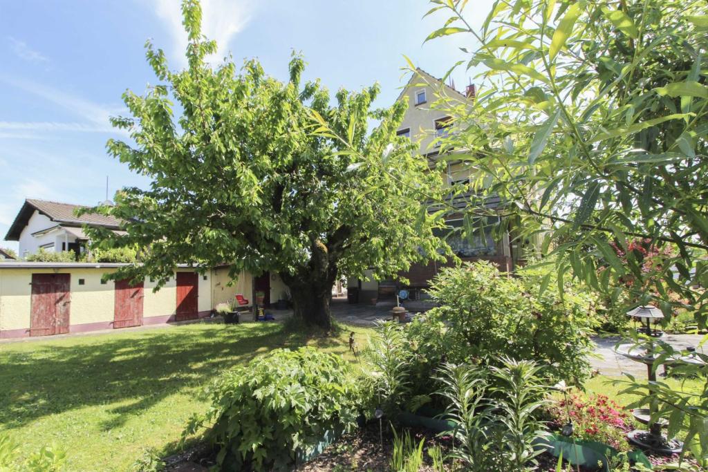 Garten 4
