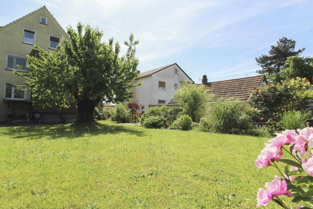 Garten 3