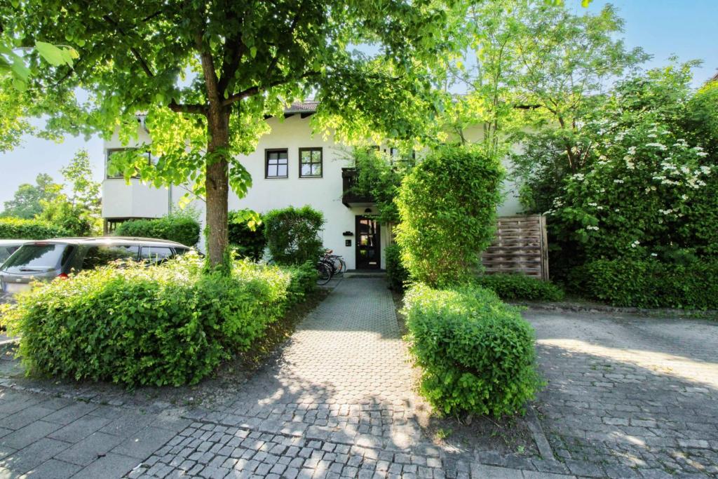 Zugang zum Haus_II