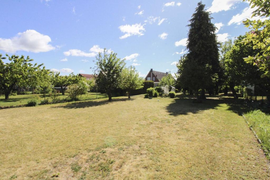 Garten (3)