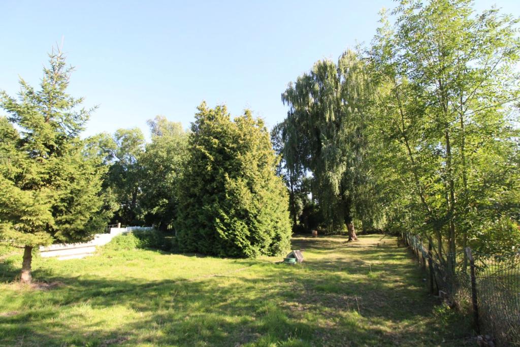 Grundstück(1)