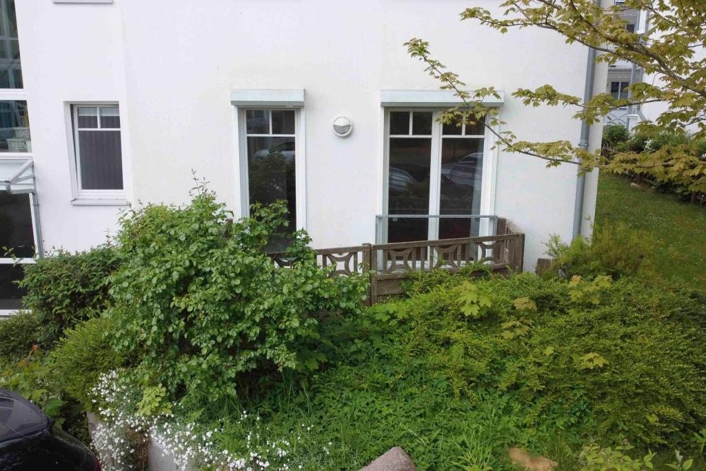 Grüne Terrasse