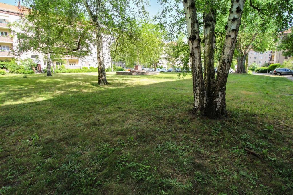 Gemeinschaftsgarten (2)