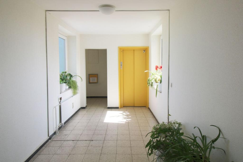 Hauflur mit Fahrstuhl