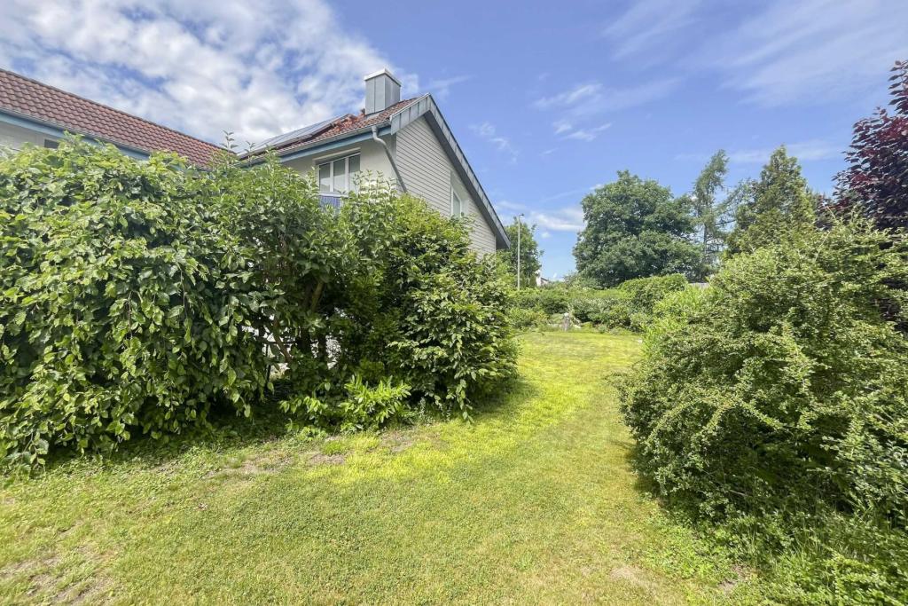 Garten_II