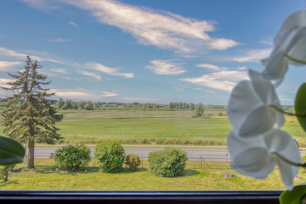 Wohnzimmer Ausblick