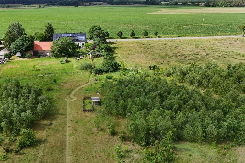 Rückansicht Park